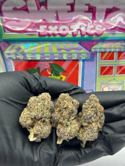 SWEETZ EXOTICS in the USA